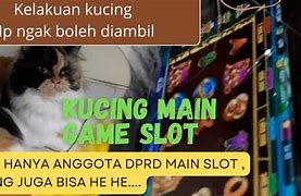 Kucing Cuan Slot Gacor Hari Ini Aalk_Rrkg4S Youtube